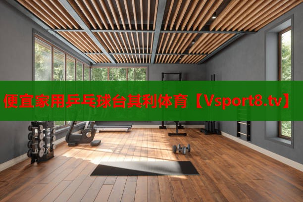 便宜家用乒乓球台其利体育