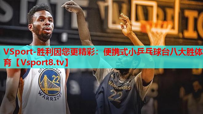VSport-胜利因您更精彩：便携式小乒乓球台八大胜体育