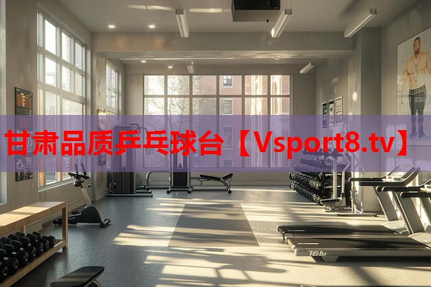 甘肃品质乒乓球台