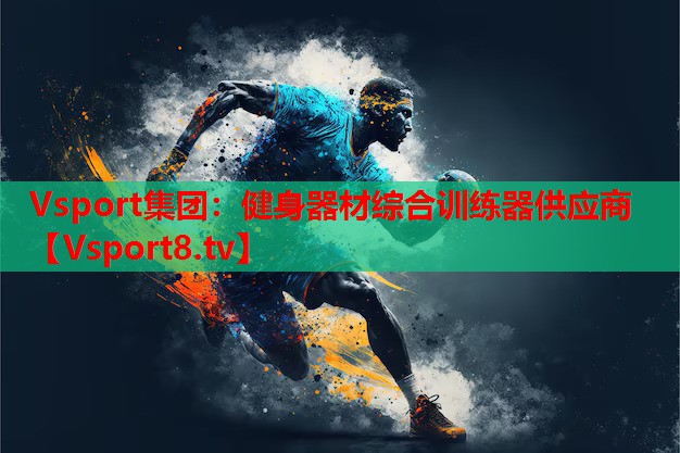 Vsport集团：健身器材综合训练器供应商