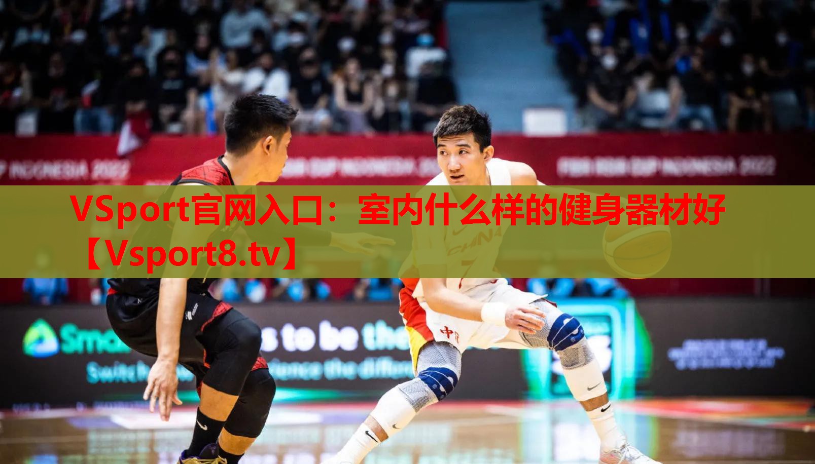 VSport官网入口：室内什么样的健身器材好