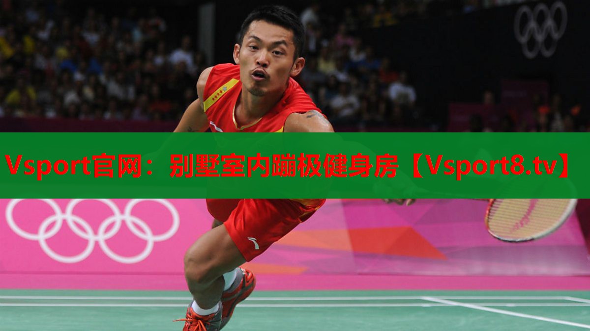 Vsport官网：别墅室内蹦极健身房