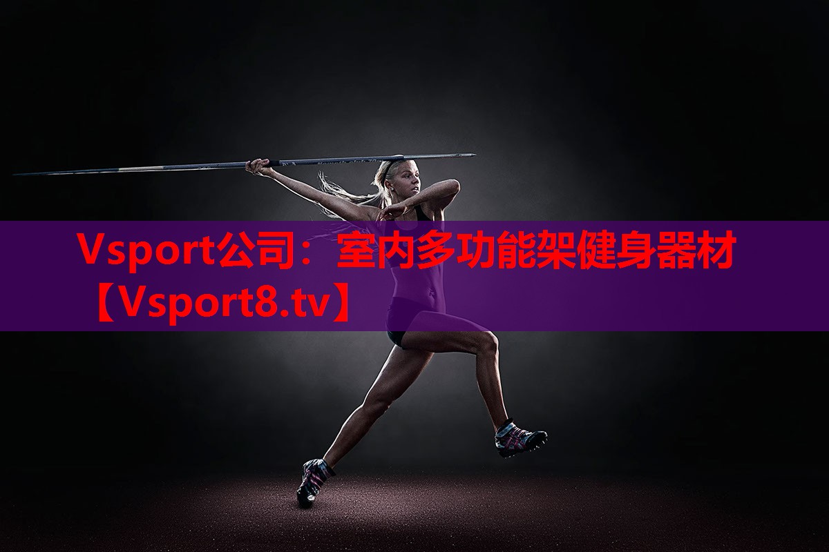Vsport公司：室内多功能架健身器材