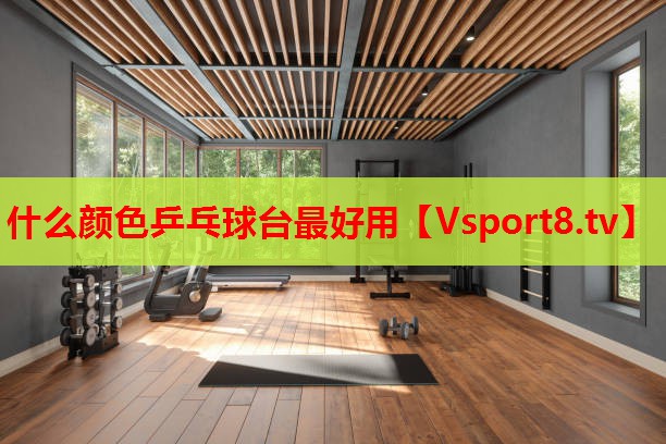 什么颜色乒乓球台最好用