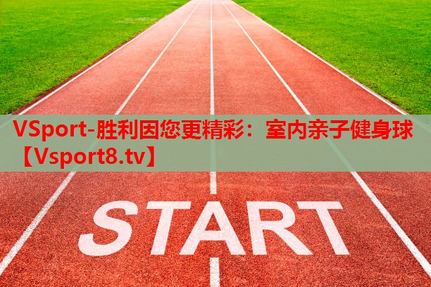 室内亲子健身球